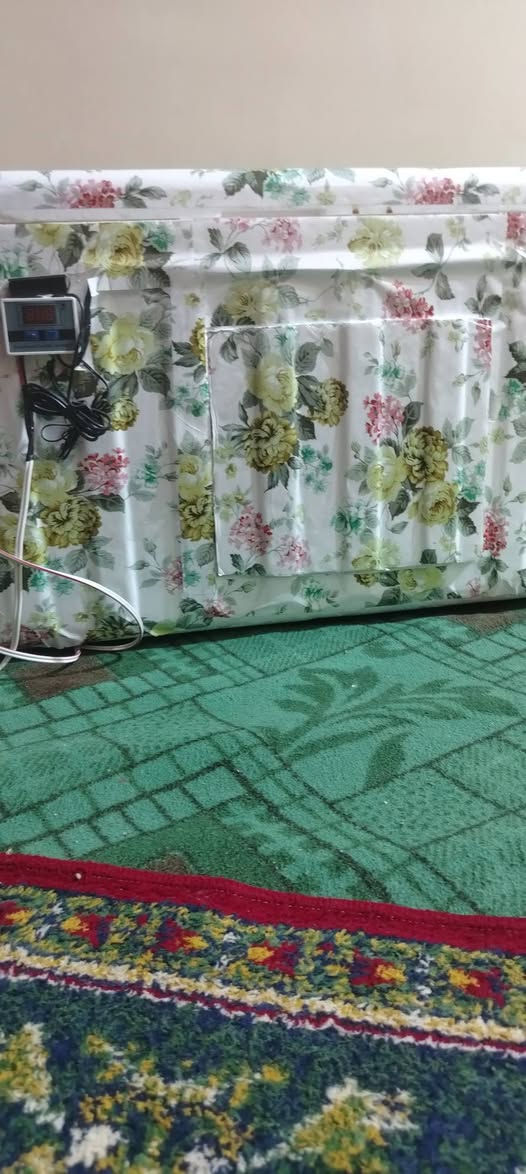 سلام عليكم شباب فقاسة
 للبيع تقليب خارجي
 تشيل ١١٠ بيضة
 دجاج سعرها ٦٥ وبيها مجال 
للتواصل 7863585675 مكان سوق الشيوخ العكيكة


**إذا كنت صاحب هذا الإعلان وتريد حذفه لأي سبب، رجاءا أرسل رسالة إلى الدعم الفني**