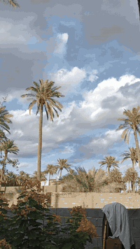 السلام عليكم... #السعر__140
#ابونورالمحمداوي_***********
الف متر طابو زراعي  25
بغداد  قبل الجسر الفرنسي من جهة حي البتول
الولداية  سدة برج الاتحادية مقابل الملعب الخماسي
