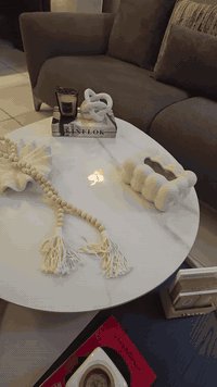 غراض للبيع تخم تركي مليونين وبي مجال  طبله تركيه دوار 300 وبيهه مجال  ...