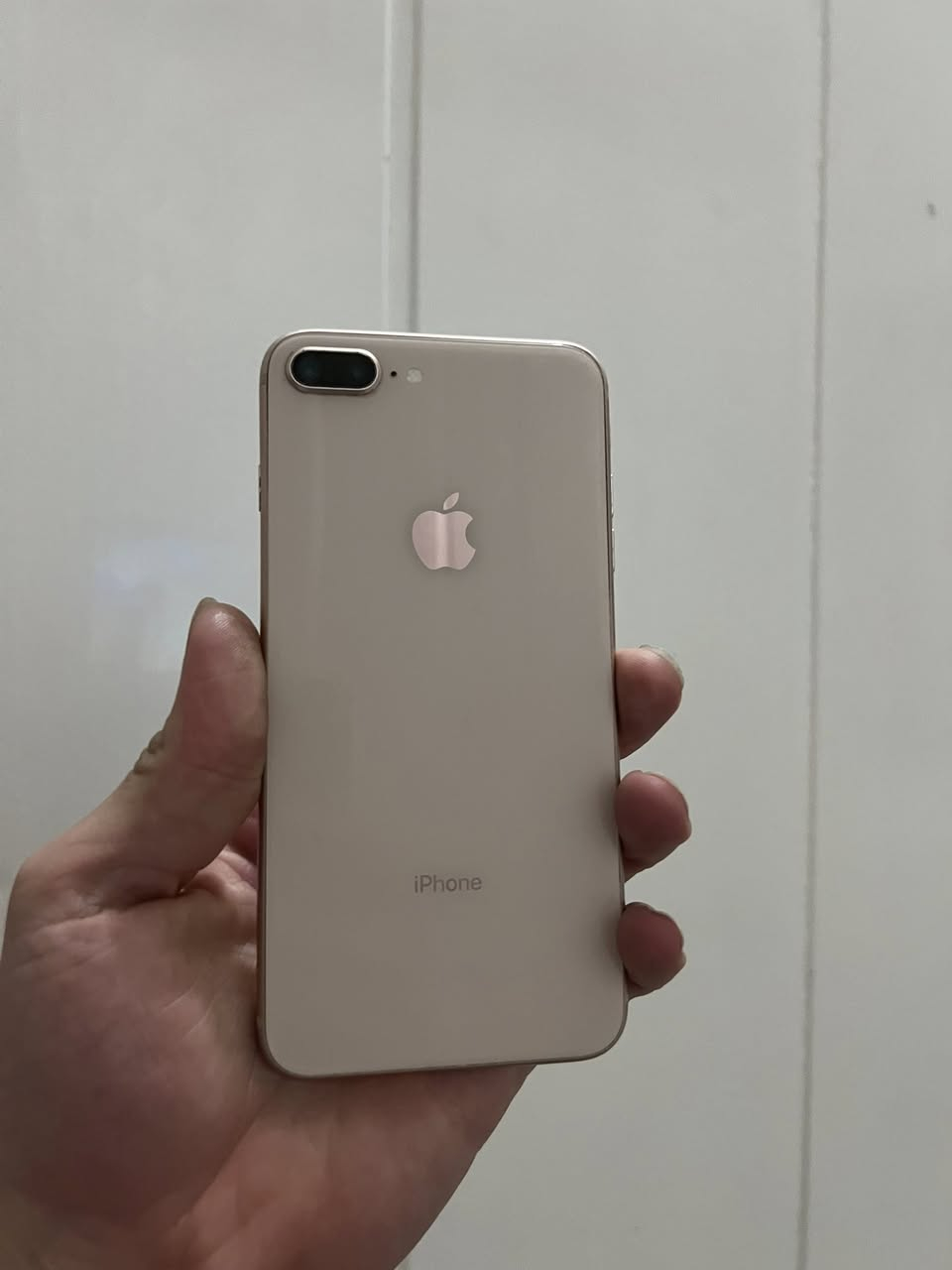 سلاو ازیزانی من جەژنی هەمو لایەک پیرۆز بیت

ئایفۆن ٨ ی پلاس

٦٤ گیگا
پاتری ٩٥ 

مۆبایلەکە هەمو گیانی مەزبوتە بە شەرت بی موشکیلە 
تەنها لەزگەی دوگمەکەی لی بۆتەوە دەنا دوگمەکەی مەزبوتە

نرخیشی بەلاش قوفل قوفلی ٨٠ هەزار تکایە مەحامەلە مەکە پارەی ٧ کی بازارە

گەیاندن هەیە


**إذا كنت صاحب هذا الإعلان وتريد حذفه لأي سبب، رجاءا أرسل رسالة إلى الدعم الفني**