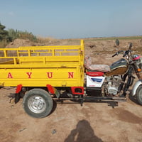 ستوته • موديل ١٣ • سنوية مكفولة