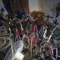 باسكلات • جميع الأحجام • طوريج