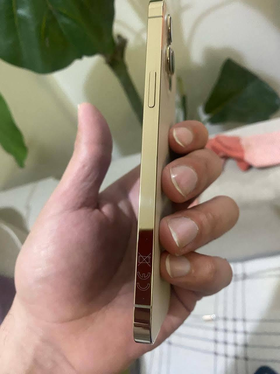 iPhone 12 Pro Max 
أيفون12برو ماكس جهاز نضيف جديد مبدل شاشه صليه 
ذاكره 256 بطاريه 77سعر ٢٧٠
***********
