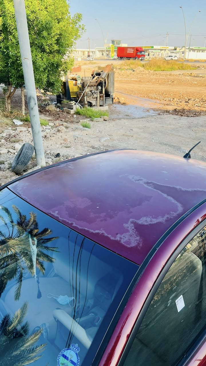 اكسنت خليجي 2007
رقم ديالى دولي سنوية لل 28 يلة تسقط بيه طخة خفيفة بل جاملوغ الايمن عندي نطخت مكينة مال حاوية شاده قبل 5 اشهر تدفئة تبريد صدر مبدل قبل شهر سيارة كاملة صار بيه صبغ دوار الجامرلوغ الخلفي بسبب الخياس ونص الجامرلوغ الايمن والبنيد نرش لان جارد والدعاميات علمود الجمالية والصور موجودة قبل الصبغ السعر 77 وبيه مجال ***********     *********** واتساب مكاني الخالص
