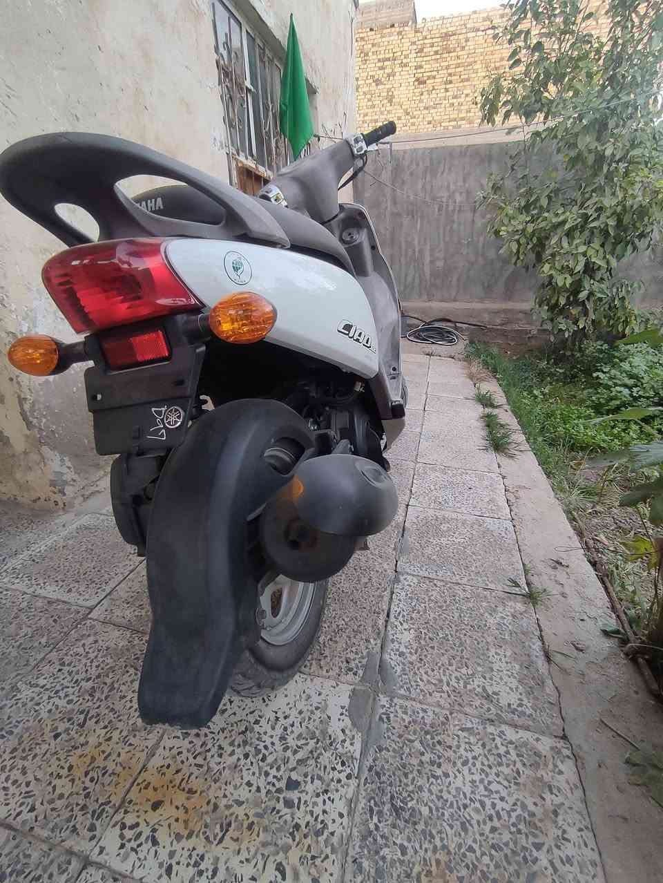 فله رمبا جديده.  بمعنه الكلمه صارلها ٢٠ يوم.  سعرها ب ٩٥٠  *********** بابل
