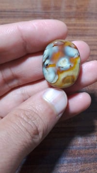 داودي هندي • مصور • چوكر مفول