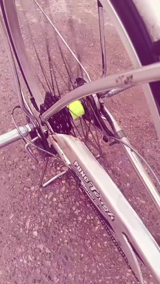 سلام عليكم شباب بايسكل بناتي حجم 26 نضيف السعر 100 وبي مجال العنوان ميسان ابو رمانه


**إذا كنت صاحب هذا الإعلان وتريد حذفه لأي سبب، رجاءا أرسل رسالة إلى الدعم الفني**