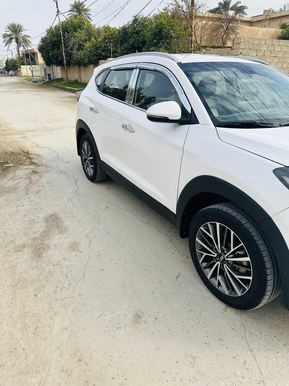 19توسان كاصد ***********
