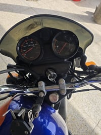 بوكسر • ٢٠٢٣ • لوحة وسنوية