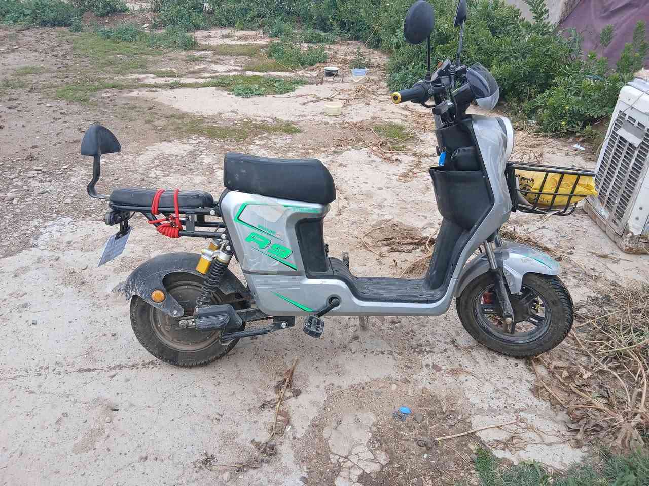 ار ٩ فول خير من الله مديل ٢٦ سعر ٤٥٠ بيه مجال الطيبين مكان بغداد


**إذا كنت صاحب هذا الإعلان وتريد حذفه لأي سبب، رجاءا أرسل رسالة إلى الدعم الفني**