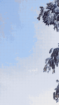 السلام عليكم البيع باسكل موزه حجم 26 يابني شرط تايرات وجوابه جديد باسكل نضيف ربع ماتصرف عليه جاملغات موجوده مديل ٢٠١٨ العنوان تكريت القادسية شارع ابو عقرب رقمي *********** يراهم مراوس حسب القناعه وجاملغات نضيفه موجودات 2
