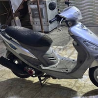 ماكس منغولي • مكفولة • الدورة