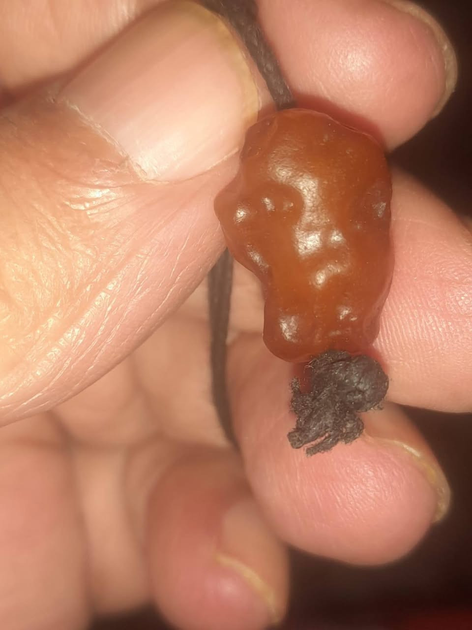 هاي الحجار البيع *********** بيه واتساب
