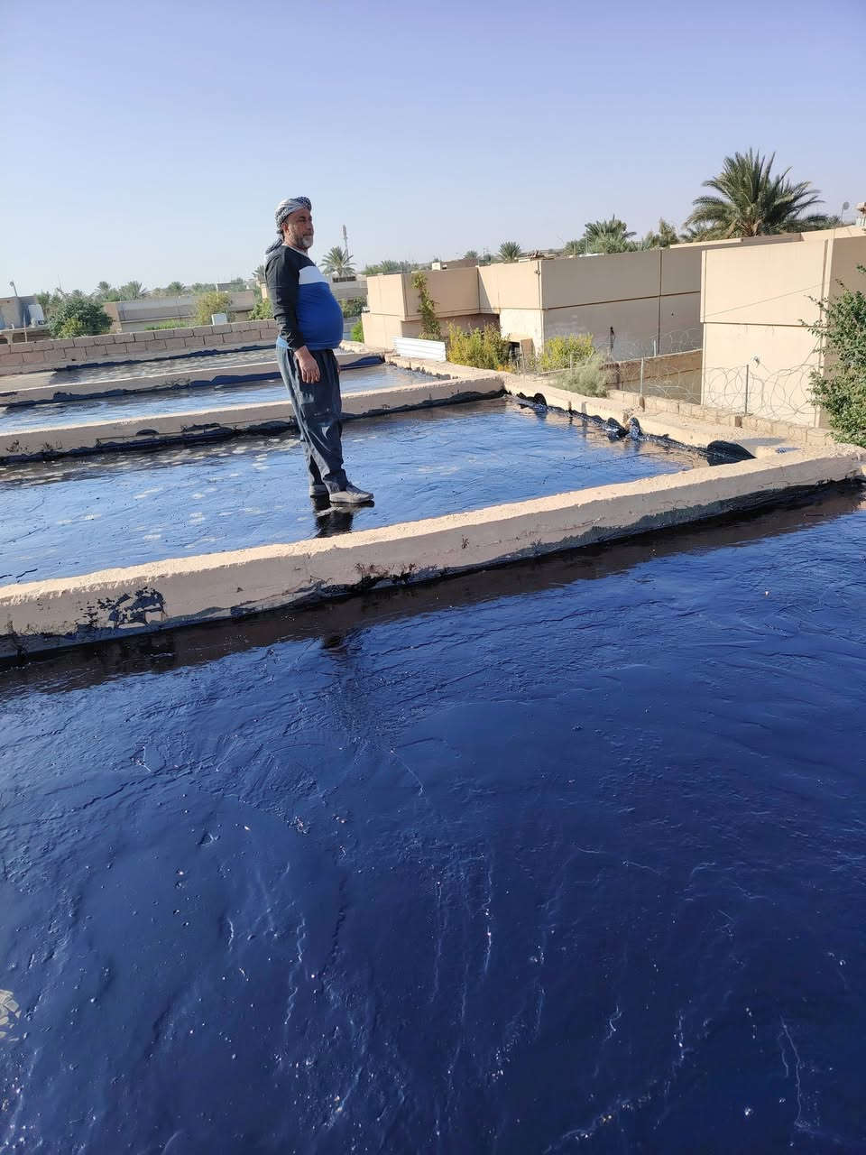 نحن مستعدون لتكير البيوت وتزفيت القطعه ***********
