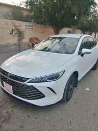 كاتي • ٢٠٢٥ • كركوك