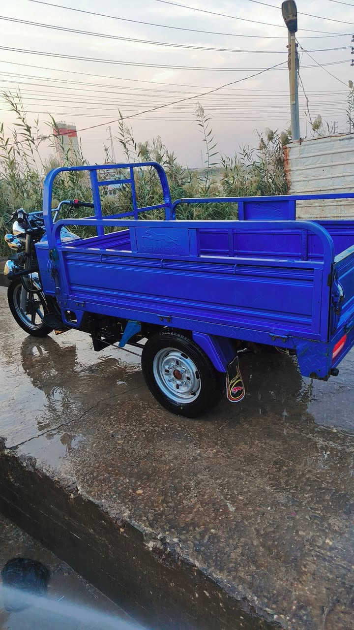 السلام عليكم ستوته موديل 23 مرقمه سوته مفتوحه مكاني الديوانيه ال حمد سعر مليونين 200 وبيه مجال للطيبين


**إذا كنت صاحب هذا الإعلان وتريد حذفه لأي سبب، رجاءا أرسل رسالة إلى الدعم الفني**