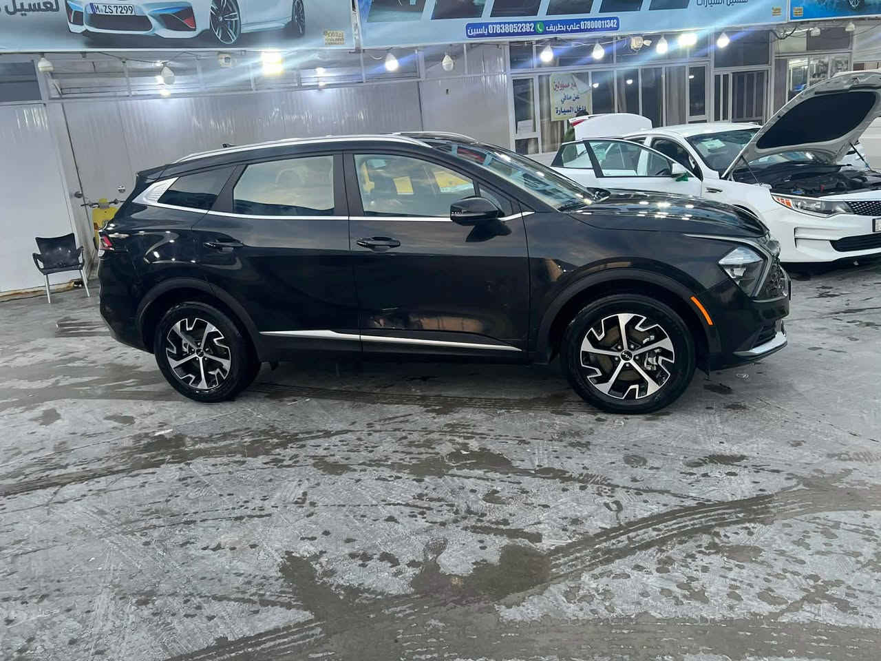 بيع او مراوس/ كيا سبورتج 2023 هايبرد (كهرباء - بانزين)
وارد امريكي فول مواصفات نظيفة جداً رقم بغداد الدولي الجديد 

السيارة بيها قطعتين صبغ بنيد وجنطة فقط بدون لغد ولا شاصي والسونار موجود بالمنشور  

مواصفات :: -
گير ماوس  
قيادة ذاتية
تحديد مسار  
بصمه 
كشنات جلد / كهرباء / كشن تدفئة مع ستيرن تدفئه  
شاحن وايرليس 
شاشه جبيره متصله 
كامره خلفيه 
رادار امامي خلفي رادار جانبية  
شاشه تبريد لمس 
فول تحكم ستيرن / لايت عدسات متحرك مع السيارة / 4 مودات قياده / مانع ازلاق / اوتو هولد / حساسات / ويل كب جبير / هندبريك بصمه وبعد بيه هواي مواصفات  

السعر 187 ورقة وبيهة مجال
 
العنوان بغداد والديوانية 

***********
*********** بغداد, العراق
