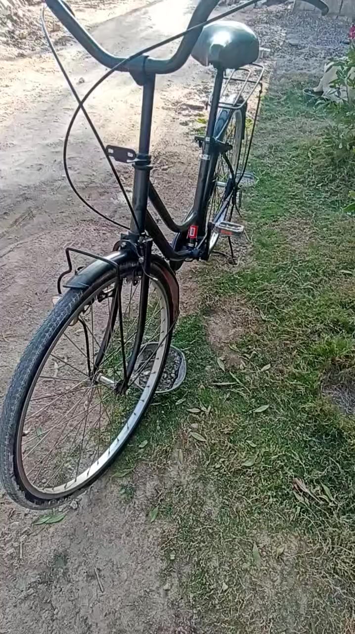 باسكل حاويه السعر 120وبي مجال للاستفسار خاص


**إذا كنت صاحب هذا الإعلان وتريد حذفه لأي سبب، رجاءا أرسل رسالة إلى الدعم الفني**