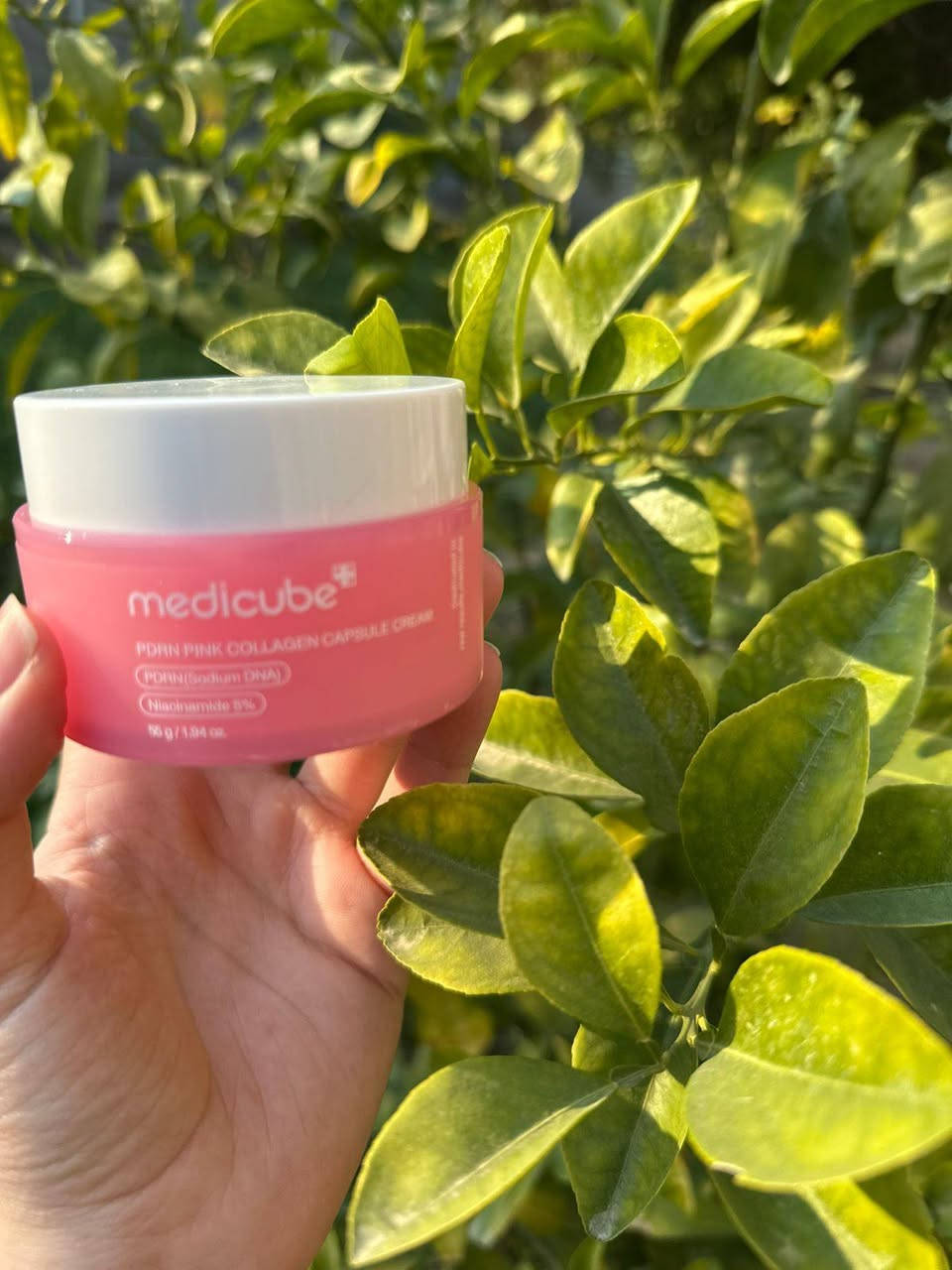 منتجات اصليه 100%مو كوبي


**إذا كنت صاحب هذا الإعلان وتريد حذفه لأي سبب، رجاءا أرسل رسالة إلى الدعم الفني**