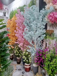 سعفة • تجهيز أشجار • حي الجمعية الأولى