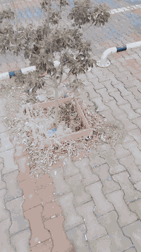 مكتب تكسي الهاشمية • نقل أربيل • خدمة ٢٤ ساعة