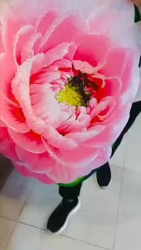 دواسة وتر برو ضد الماء للحجز والاستفسار 07828146013