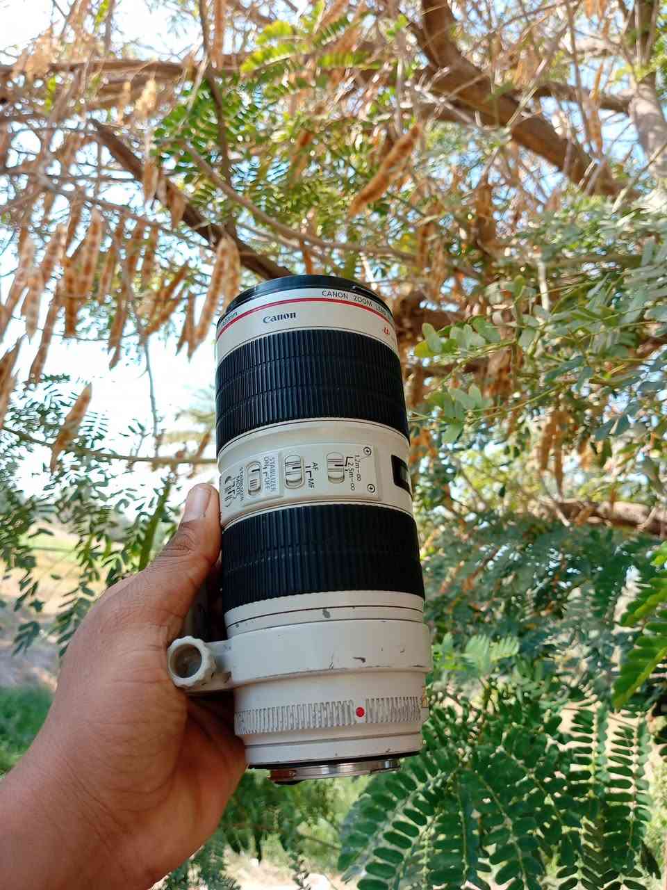 اكرر النشر بسبب الوعود الكاذبه عدسه 70_200 دبل استبلايزر فتحه 2.8 اصدار ثاني مابيها اي مشكله و اي ضرر العدسه مفوله وهيه غنيه عن التعرف اصحاب الخبره يعرفوها شنو  والله العظيم سبب البيع اريد ابدل  

مكاني بابل متواجد 24 ساعه بس علق واني اجيك خاص 
*********** وهذا رقمي لوتساب او اتصال
