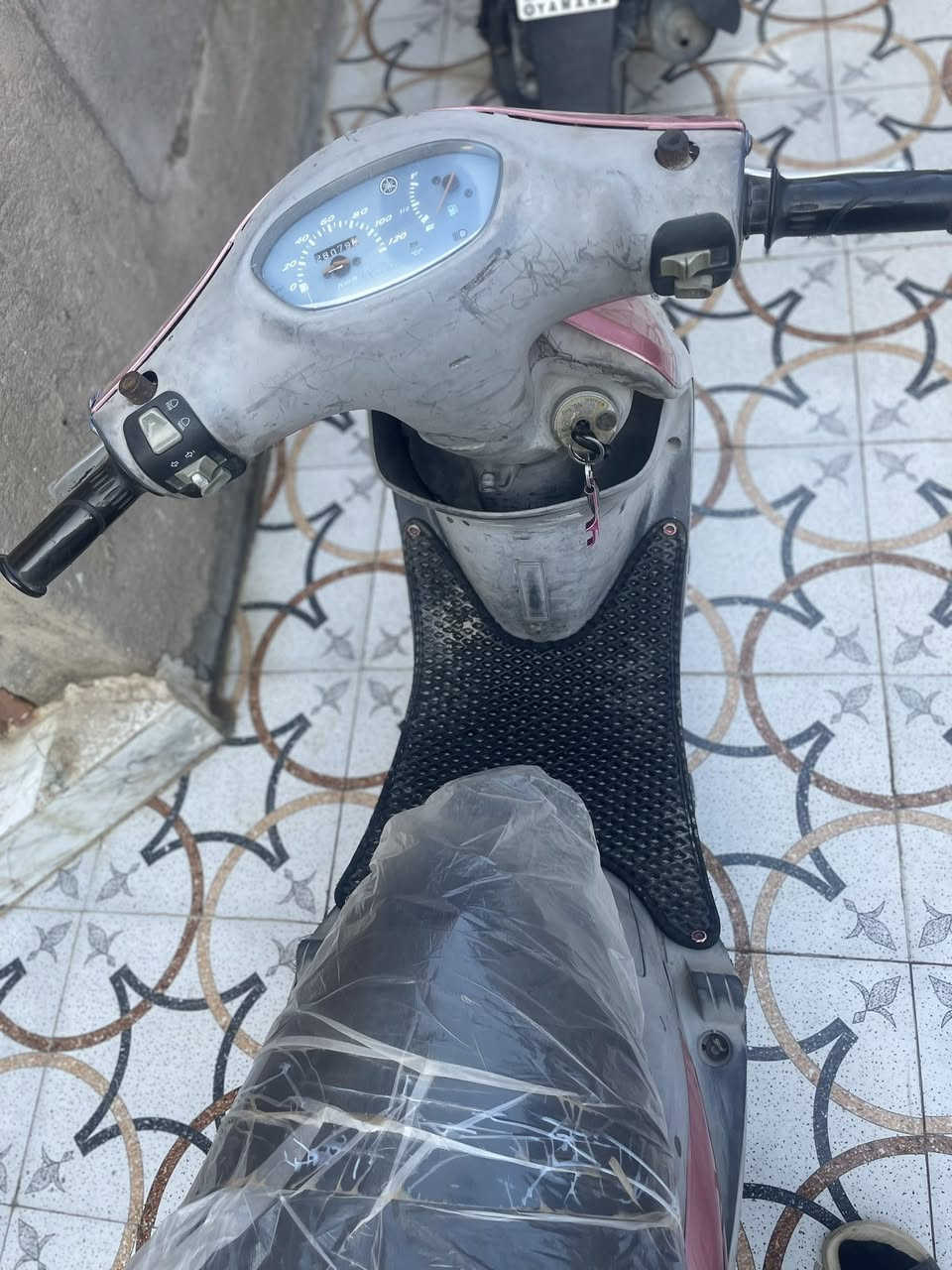 السلام عليكم
دراجه ماكس منغولي مبدله كفرات للجماليه كفراتهة الاصليه موجوده ومختمات ومابيهن شي وموجودات الدراجه ما ماشيه هواي ونظيفه وهاي كدامكم بالصور كلشي كامل بيهة واليشتري انطي الكفرات الابلاد وياهة 

الشراي يجي خاص  

الموديل:2007


**إذا كنت صاحب هذا الإعلان وتريد حذفه لأي سبب، رجاءا أرسل رسالة إلى الدعم الفني**