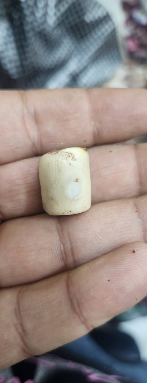 السلام عليكم مجمومة  طبيعي ذمه سعر شلع 20الف مع توصيل الحجز والتواصل *********** موجود توصيل كل المحافظات
