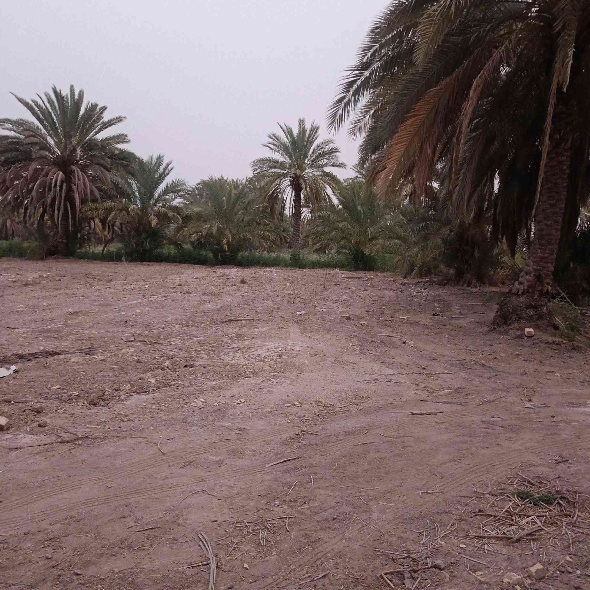 🔻قطعه أرض للبيع
المساحه 1200متر طابو صرف زراعي سند 25

توجد جميع الخدمات ماء مع كهرباء. 

المكان طريق حله دوانيه خلف شركه الرنا. 

تبعد عن طريق حله دوانيه 100متر. 

للستفسار اكثر اتصل عل الرقم. 

***********
