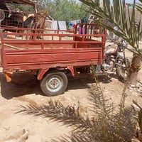 ستوته • بابل القاسم • مجال شراي