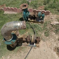خنازير للبيع شغالات نضيفات للاستفسار 07737410244