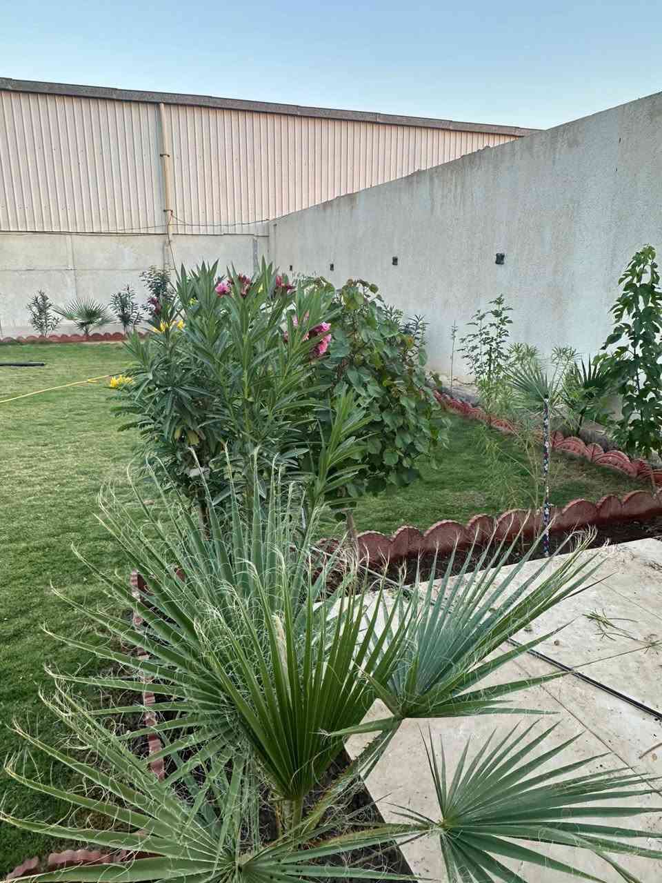 يوجد لدينا كادر مختص في تصميم الحدائق المنزليه والعامه والعناية بل نباتات الضليه ***********
