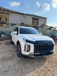 باليسايد • ٢٠٢٤ • وارد كوري