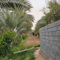 كربلاء رابط الزبيلية • ٤ دونم • ٣ بيوت ٢٥٠م