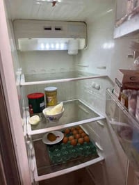 شغاله للبيع 250ألف للستفسار 07700735618