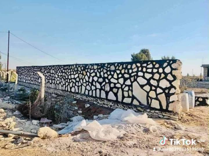 *********** ************
