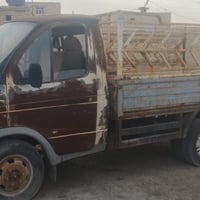 ذي قار • رقم ألماني • باسمي سنوية ٢٠٢٨