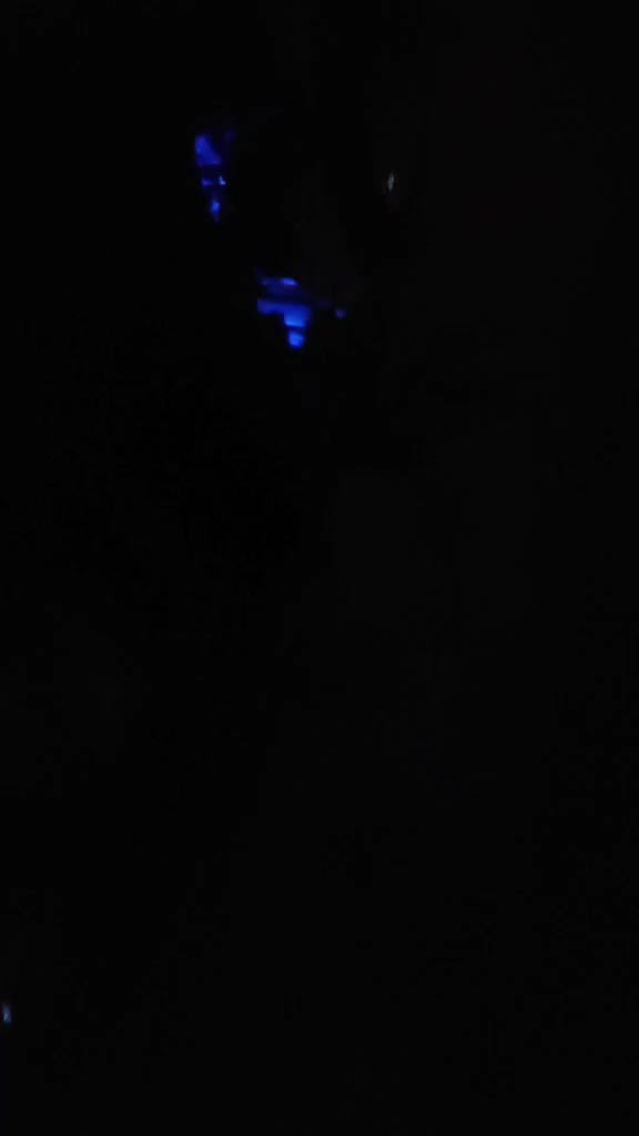 سلام عليكم
كزوز باكستاني فلاتر مالو شايلهم اريد اعارضو ب رياضي نظيف شعدك نزل ويرهم بي25الف قفل


**إذا كنت صاحب هذا الإعلان وتريد حذفه لأي سبب، رجاءا أرسل رسالة إلى الدعم الفني**