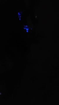 كزوز باكستاني • فلاتر • رياضي نظيف