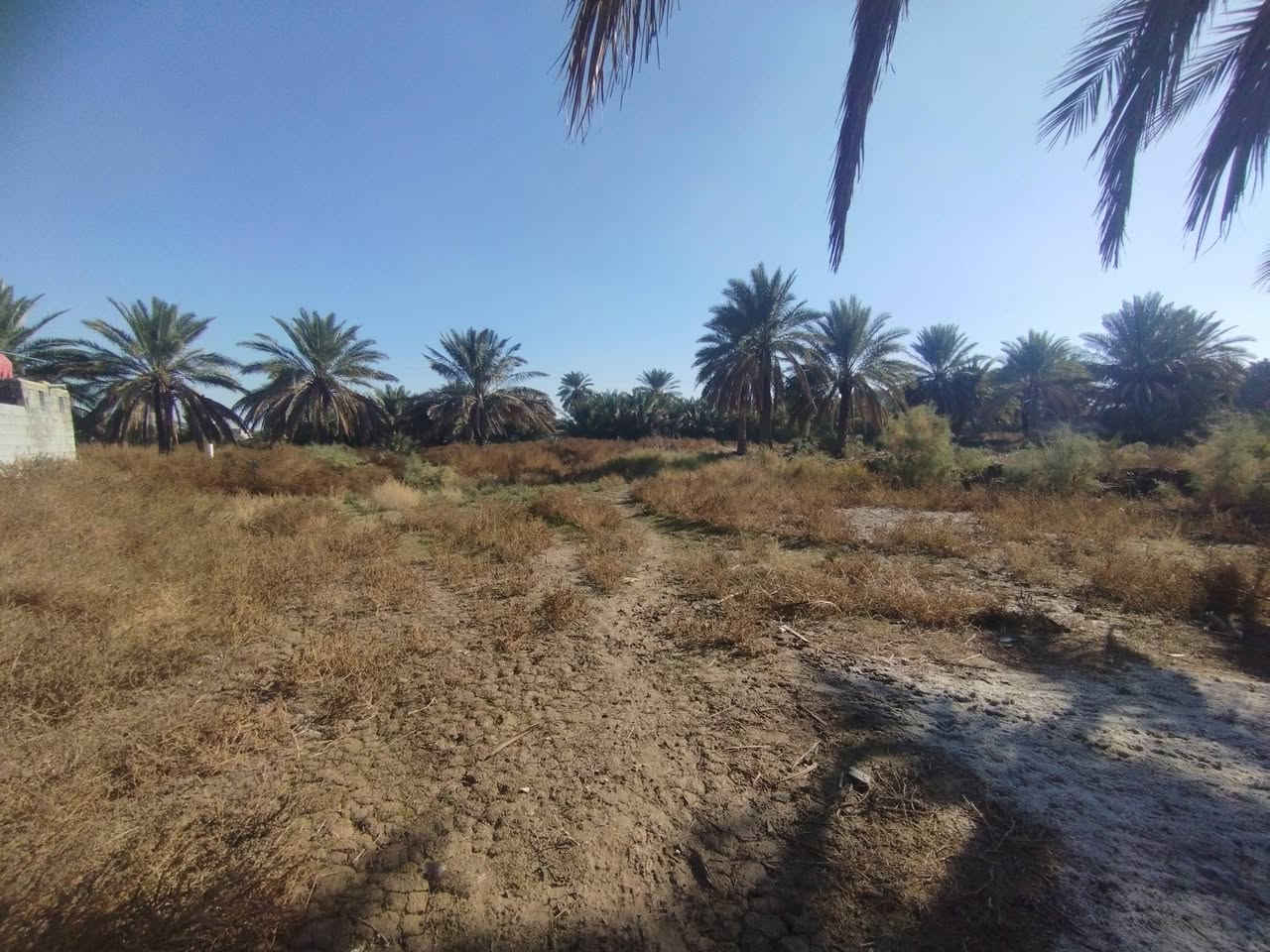 السلام عليكم
قطعتين ارض للبيع متوفر بيها ماء وكهرباء قريبه على الشارع تابعه لحي الزهراء الثاني مساحة كل قطعه 250 . ،***********
