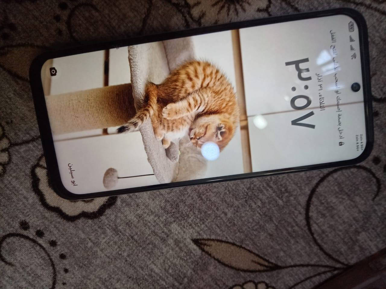 سلام عليكم هونر اكس 6سي بعده جديد ذاكره 128 مستخدم سبوعين كله شغال على اخر حبايه سعر 130 عنوان رمادي فقط بس باكيت وياه وكفر ولاسق شاحنه ماكو


**إذا كنت صاحب هذا الإعلان وتريد حذفه لأي سبب، رجاءا أرسل رسالة إلى الدعم الفني**