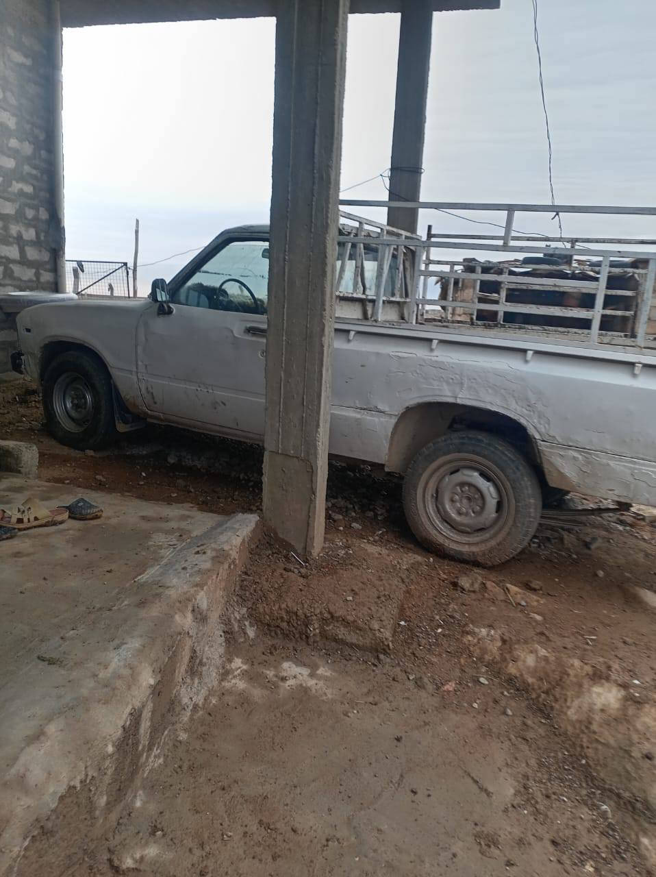 السلام عليكم بكم للبيع 80 محرك بي  صرف القشر قدام العين سنويه 28 كربون مازن موجود باقي التفاصيل على هذا الرقم ب 20 بمجال *********** الاتصال على هذا الرقم
