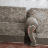 تخم صوفا • ١٠ قطع • واسط نعمانيه