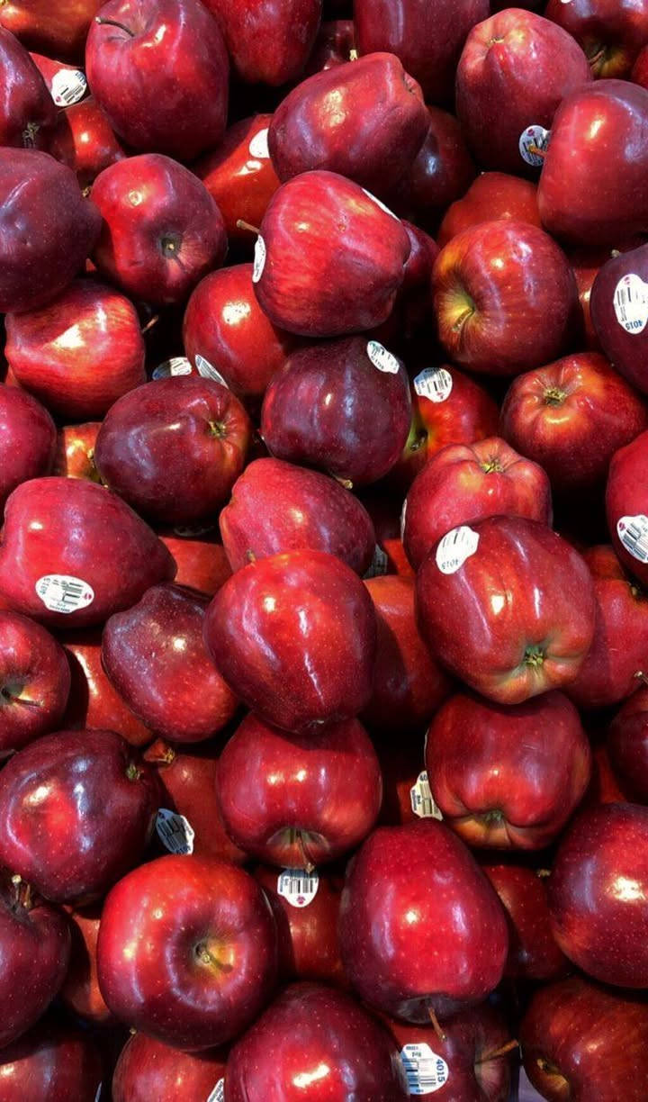 العنوان الناصريه حي الرافدين قرب جامعه العين


**إذا كنت صاحب هذا الإعلان وتريد حذفه لأي سبب، رجاءا أرسل رسالة إلى الدعم الفني**