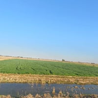 العيساوية • ٣دونم • طابو زراعي