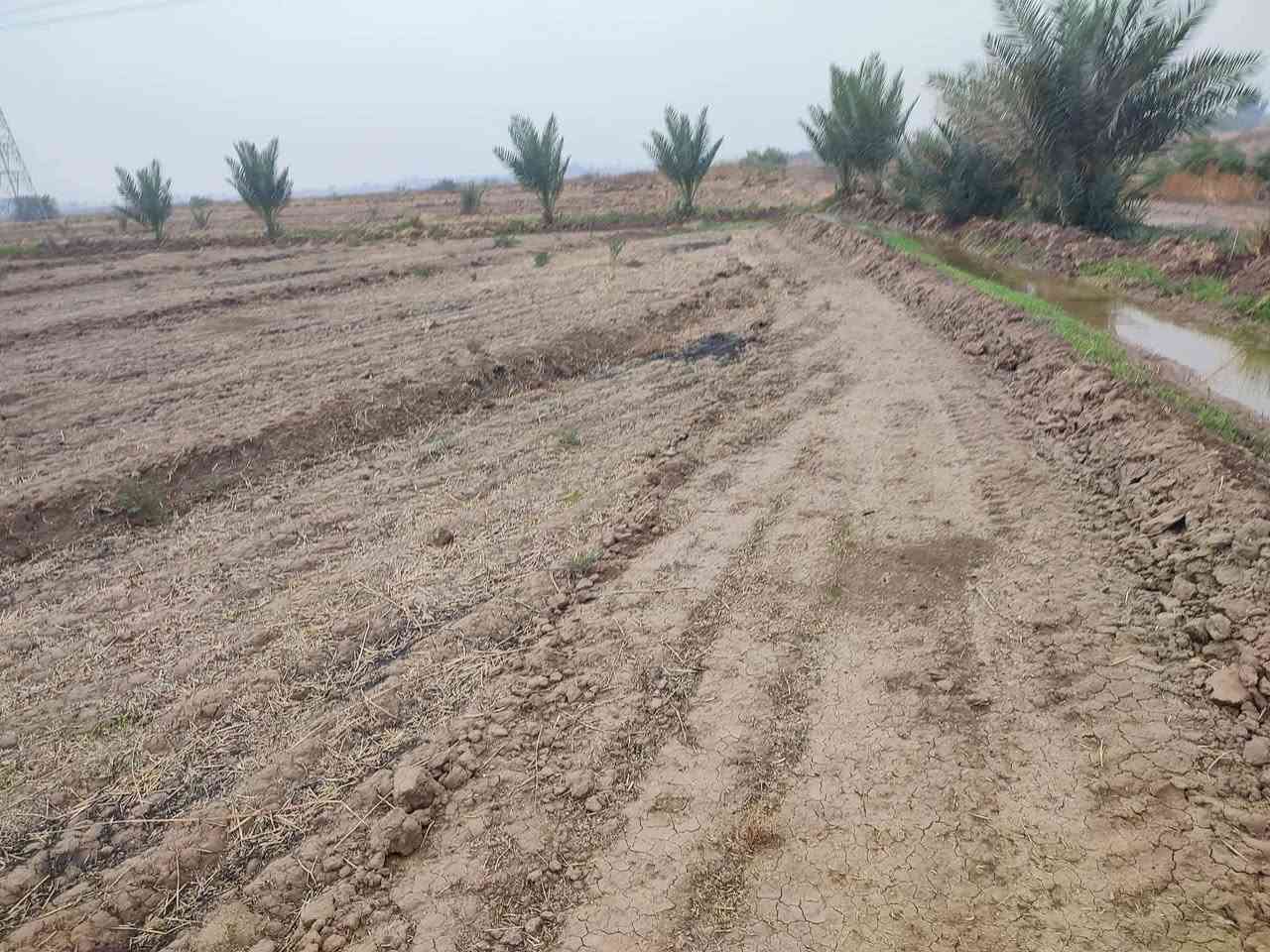 متوفر دوانم طابو سند 25 مخدومه 
سعر الدونم 25مليون
العنوان طريق حله نجف
للاستفسار ***********
