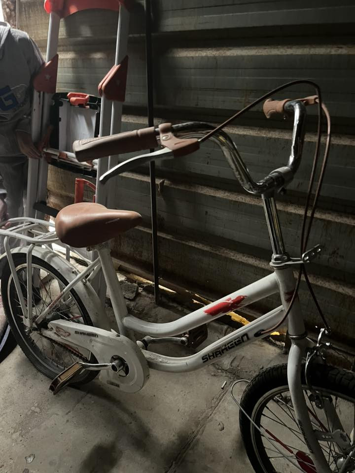 سلام عليكم بايسكل حجم ٢٠ للبيع فقط سعره ٤٠ مكاني بغداد كم ساره ***********
