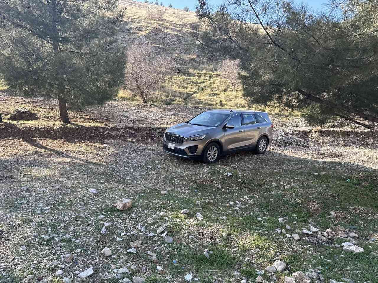 سورنتو 2017    2400  امريكي 
رقم بغداد
 بصمة شاشة كبيرة انترنت 
طخم تاير نكسن جديد 
صدر بعده بوضع الشركة
 مراوس بجارجر


**إذا كنت صاحب هذا الإعلان وتريد حذفه لأي سبب، رجاءا أرسل رسالة إلى الدعم الفني**