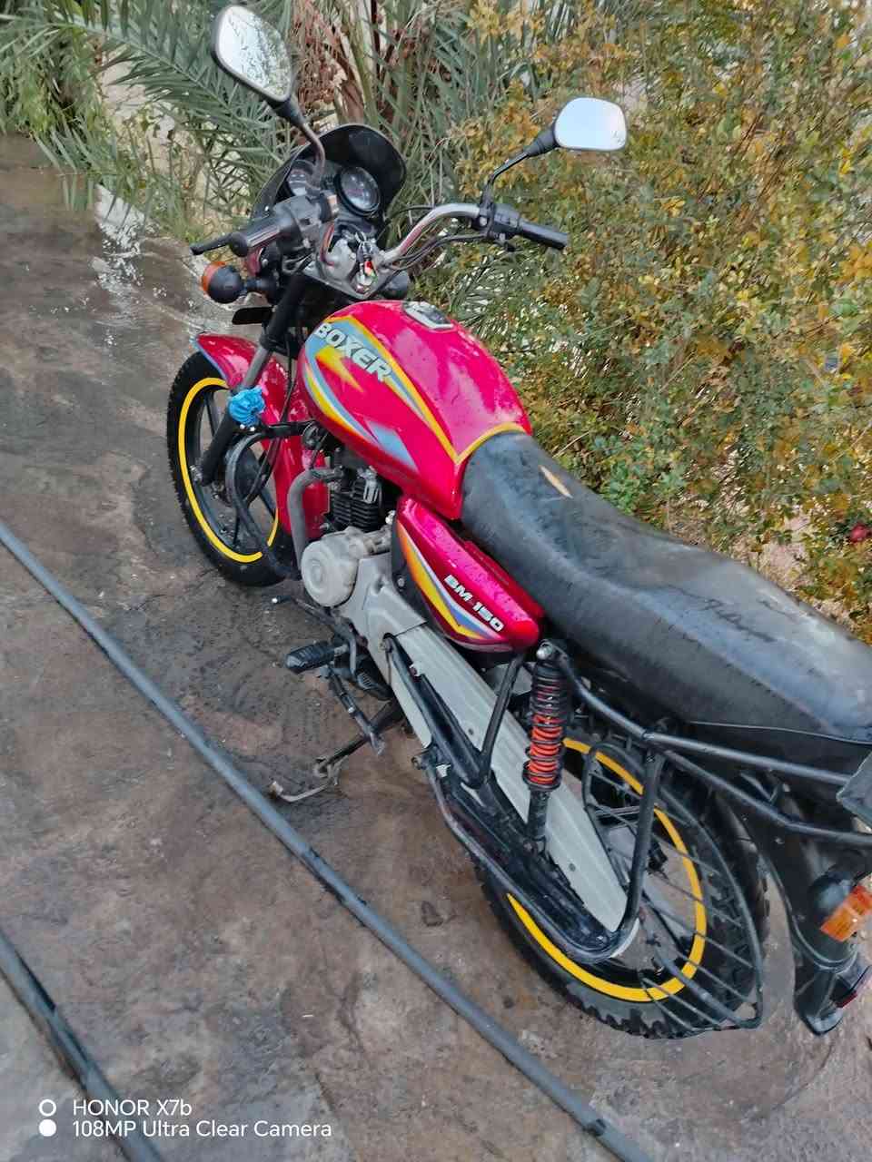 بوكسر موديل 19 مجفتة مرة وحدة بس رايدهة ب850 قفل أوراق اصولية سلف هندر كلة شغال كهربائياتهة كلهن شغالة مكاني ديالى كنعان رقم الهاتف ***********
